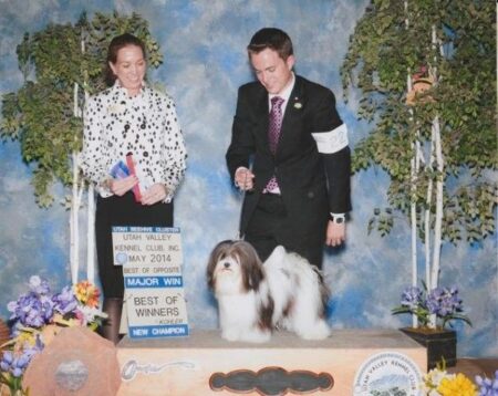 GCH Amor's Spoonful of Sugar