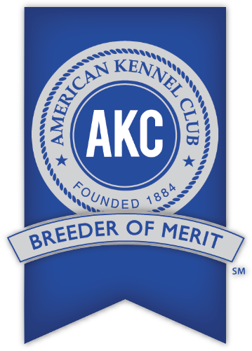 AKC Breeder of Merit